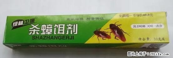 【紧急提醒】如果有“防疫站工作人员”上门灭杀蟑螂，请立刻报警 - 灌水专区 - 巴音郭楞生活社区 - 巴音郭楞28生活网 bygl.28life.net