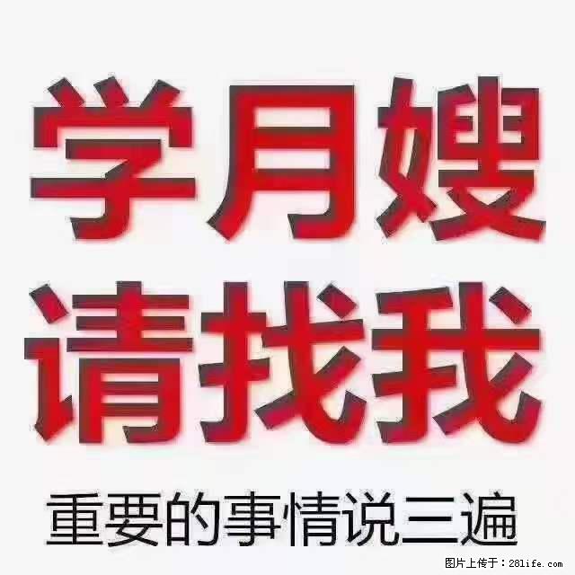为什么要学习月嫂，育婴师？ - 其他广告 - 广告专区 - 巴音郭楞分类信息 - 巴音郭楞28生活网 bygl.28life.net