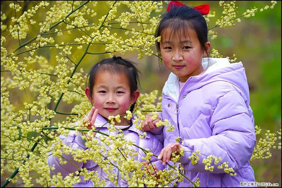 【春天，广西桂林灌阳县向您发出邀请！】米珠山前有片山苍子花在飘香 - 游山玩水 - 巴音郭楞生活社区 - 巴音郭楞28生活网 bygl.28life.net
