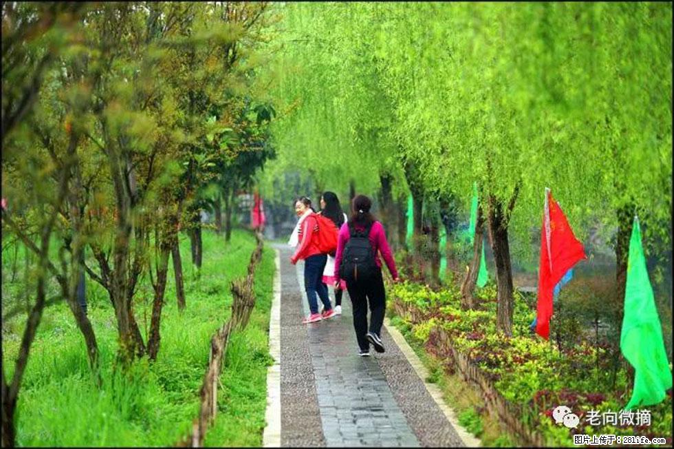 【春天，广西桂林灌阳县向您发出邀请！】江口老街又逢春 - 游山玩水 - 巴音郭楞生活社区 - 巴音郭楞28生活网 bygl.28life.net