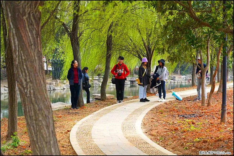 【春天，广西桂林灌阳县向您发出邀请！】江口老街又逢春 - 游山玩水 - 巴音郭楞生活社区 - 巴音郭楞28生活网 bygl.28life.net