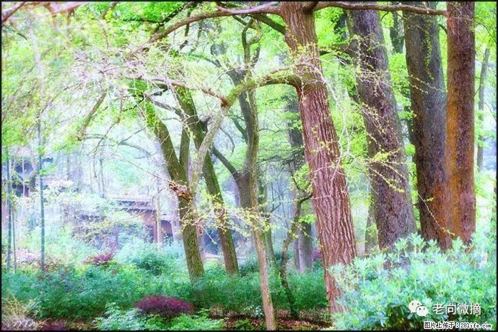 【春天，广西桂林灌阳县向您发出邀请！】在小龙村与春天约会 - 游山玩水 - 巴音郭楞生活社区 - 巴音郭楞28生活网 bygl.28life.net