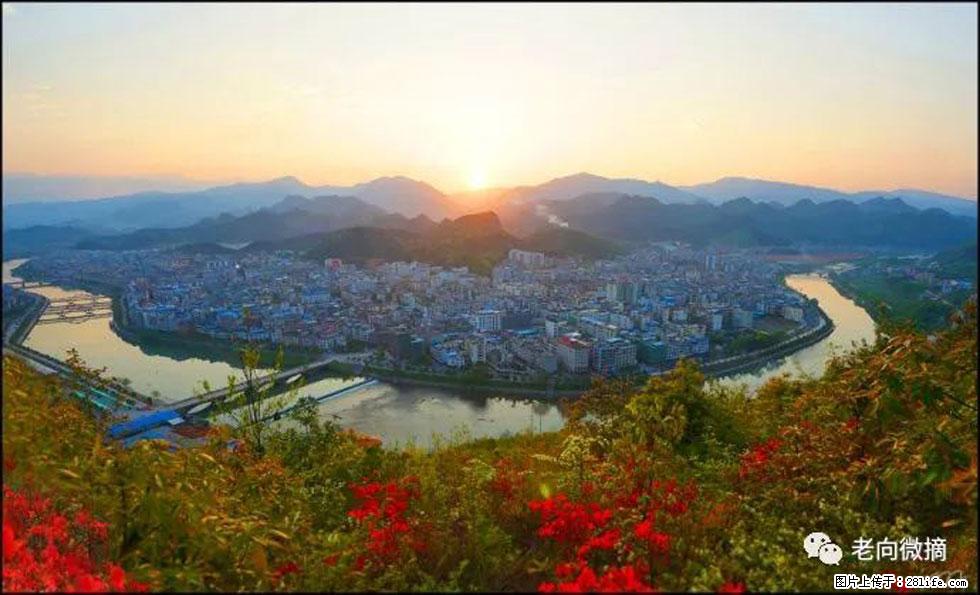 【春天，广西桂林灌阳县向您发出邀请！】登麒麟山，相约映山红 - 游山玩水 - 巴音郭楞生活社区 - 巴音郭楞28生活网 bygl.28life.net