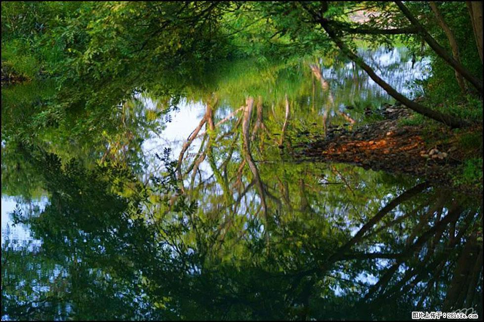 【春天，广西桂林灌阳县向您发出邀请！】熊家寨湿地公园 - 游山玩水 - 巴音郭楞生活社区 - 巴音郭楞28生活网 bygl.28life.net