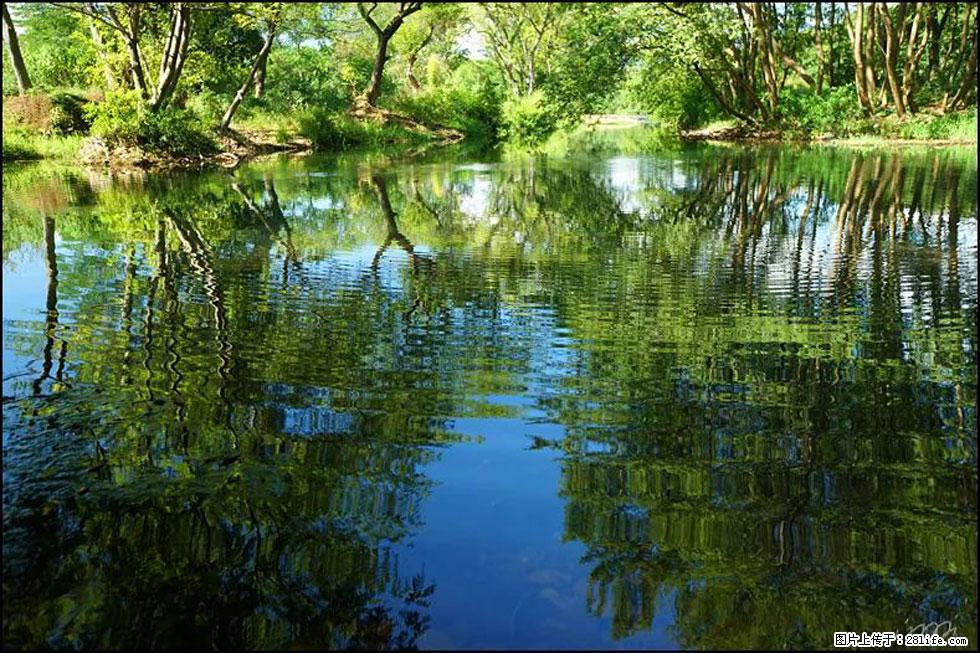 【春天，广西桂林灌阳县向您发出邀请！】熊家寨湿地公园 - 游山玩水 - 巴音郭楞生活社区 - 巴音郭楞28生活网 bygl.28life.net