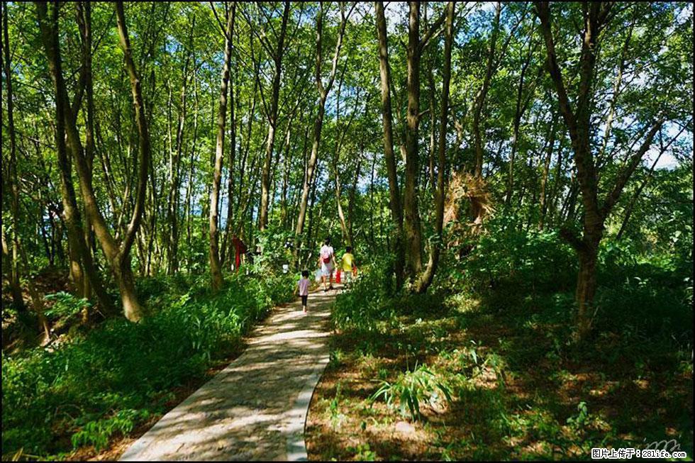 【春天，广西桂林灌阳县向您发出邀请！】熊家寨湿地公园 - 游山玩水 - 巴音郭楞生活社区 - 巴音郭楞28生活网 bygl.28life.net
