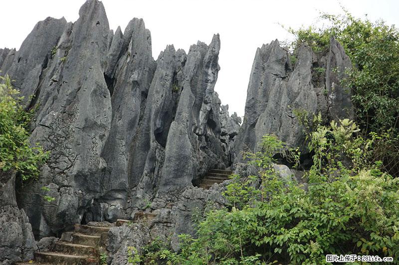 桂林旅游名城景点：灌阳文市石林 - 游山玩水 - 巴音郭楞生活社区 - 巴音郭楞28生活网 bygl.28life.net