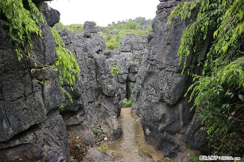 桂林旅游名城景点：灌阳文市石林 - 游山玩水 - 巴音郭楞生活社区 - 巴音郭楞28生活网 bygl.28life.net