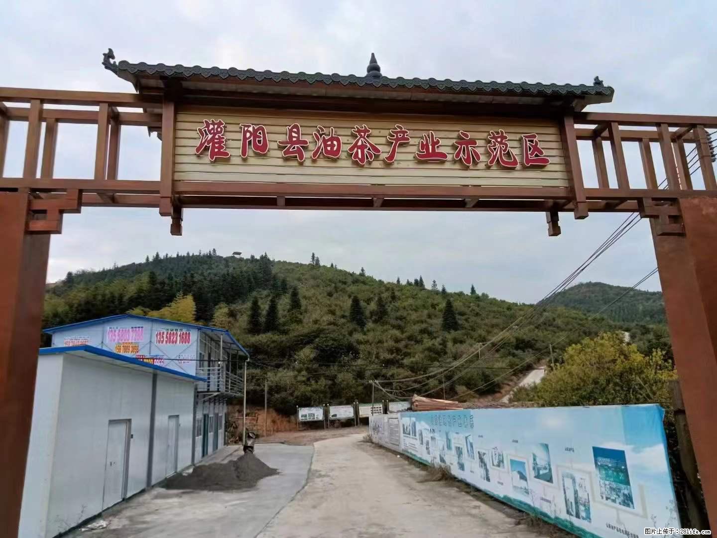【灌阳县油茶产业示范区】一个有着充实的精神生活的人，对待身外之物自会有一种淡泊的态度 - 美食天地 - 巴音郭楞生活社区 - 巴音郭楞28生活网 bygl.28life.net
