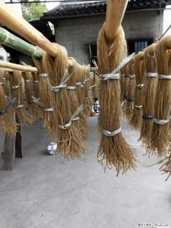 【灌阳正宗红薯粉】美女家里自己做的，干净卫生，假一赔十，价格合理，抢购电话：13737312895 - 巴音郭楞28生活网 bygl.28life.net