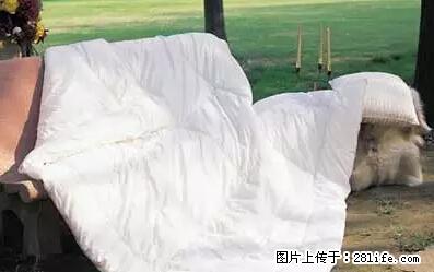被子有异味？只要这样做，比晒太阳还强100倍！ - 家居生活 - 巴音郭楞生活社区 - 巴音郭楞28生活网 bygl.28life.net