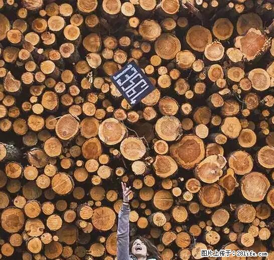 辞掉工作周游世界？现在他们在洗厕所…… - 游山玩水 - 巴音郭楞生活社区 - 巴音郭楞28生活网 bygl.28life.net