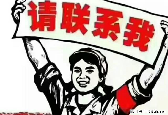 梨乡中学旁金色港湾144平两室两厅两卫 - 房屋出租 - 房屋租售 - 巴音郭楞分类信息 - 巴音郭楞28生活网 bygl.28life.net