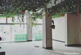北山路明珠花园门面房 - 巴音郭楞28生活网 bygl.28life.net