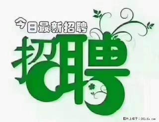 【招聘摄像师】待遇：试用期6000元/月，转正7000元/月+五险一金+餐补+节日福利+奖金 - 巴音郭楞28生活网 bygl.28life.net