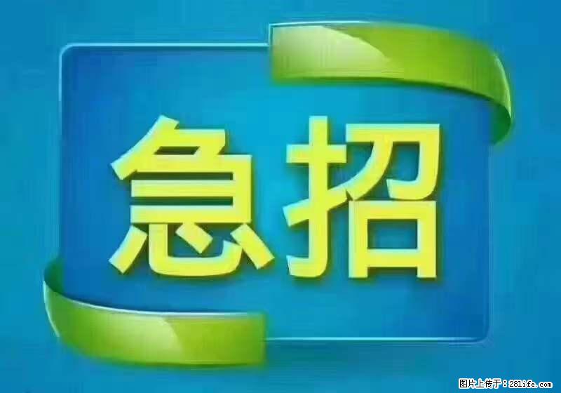 招财务，有会计证的，熟手会计1.1万底薪，上海五险一金，包住，包工作餐，做六休一 - 职场交流 - 巴音郭楞生活社区 - 巴音郭楞28生活网 bygl.28life.net