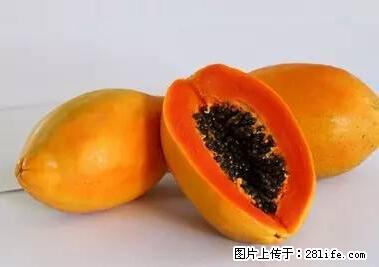 晕车、脚气、牙齿变黄、皮肤粗糙？学会这些三分钟搞定！ - 巴音郭楞生活资讯 - 巴音郭楞28生活网 bygl.28life.net