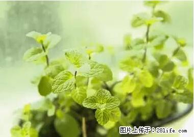 晕车、脚气、牙齿变黄、皮肤粗糙？学会这些三分钟搞定！ - 巴音郭楞生活资讯 - 巴音郭楞28生活网 bygl.28life.net