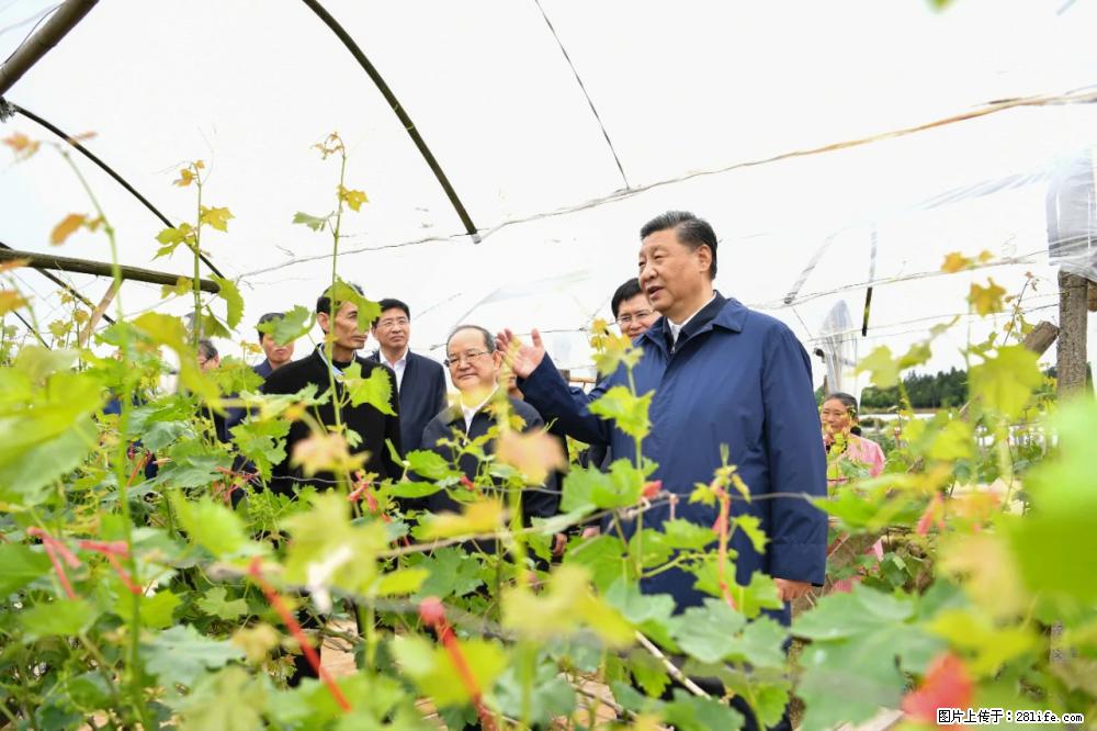习近平赴广西考察调研 - 巴音郭楞生活资讯 - 巴音郭楞28生活网 bygl.28life.net