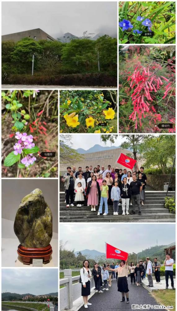 “粤灌文化 美好生活”油茶文化主题活动在广东深圳成功举办 - 巴音郭楞生活资讯 - 巴音郭楞28生活网 bygl.28life.net