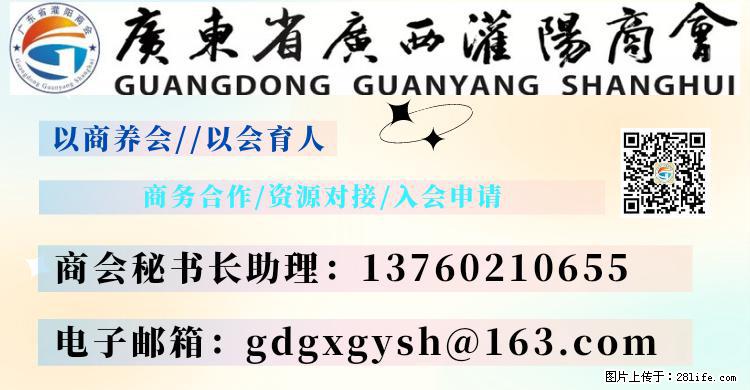 “粤灌文化 美好生活”油茶文化主题活动在广东深圳成功举办 - 巴音郭楞生活资讯 - 巴音郭楞28生活网 bygl.28life.net