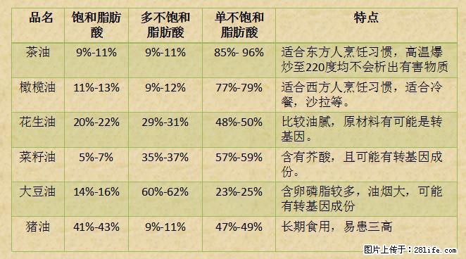 揭秘茶油的5大核心营养成分！被称为人体健康的“守护盾”！ - 巴音郭楞生活资讯 - 巴音郭楞28生活网 bygl.28life.net