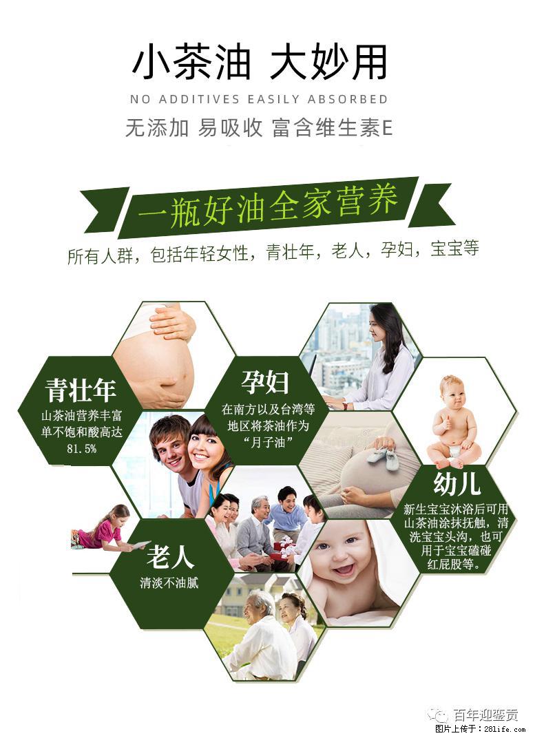 世界没有真相，只有认知，最好的食用油是中国的山茶油！ - 巴音郭楞生活资讯 - 巴音郭楞28生活网 bygl.28life.net