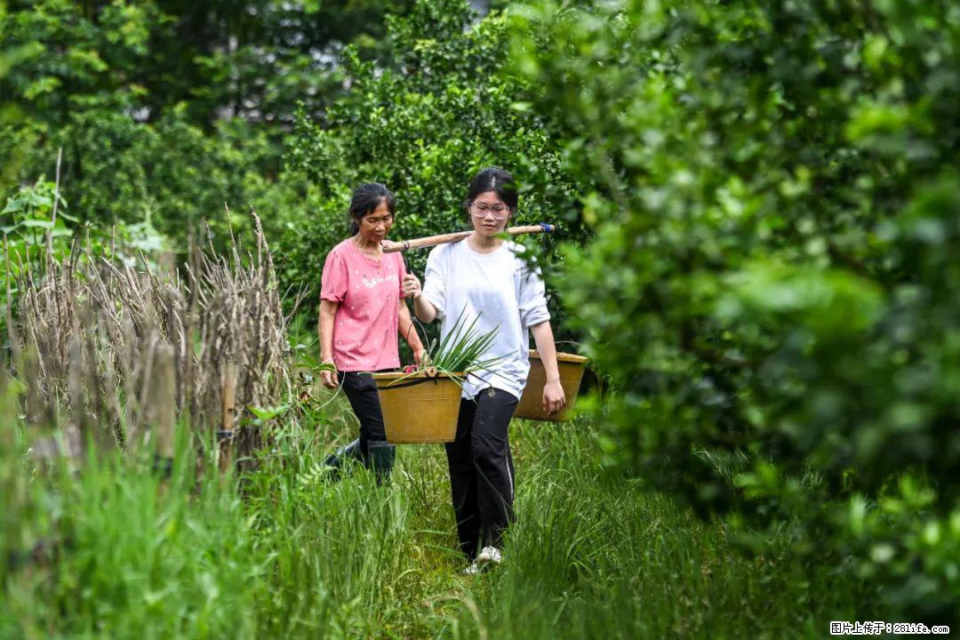 全网追的“扁担女孩”，找了一份暑假工，时薪12元 - 巴音郭楞生活资讯 - 巴音郭楞28生活网 bygl.28life.net