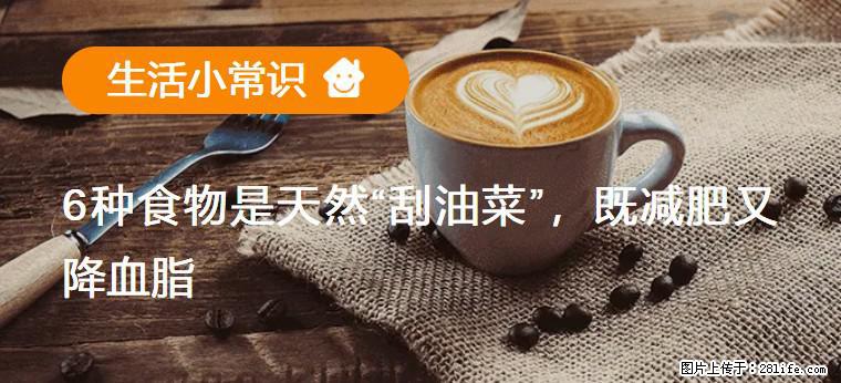【生活小常识】6种食物是天然“刮油菜”，既减肥又降血脂 - 巴音郭楞生活资讯 - 巴音郭楞28生活网 bygl.28life.net