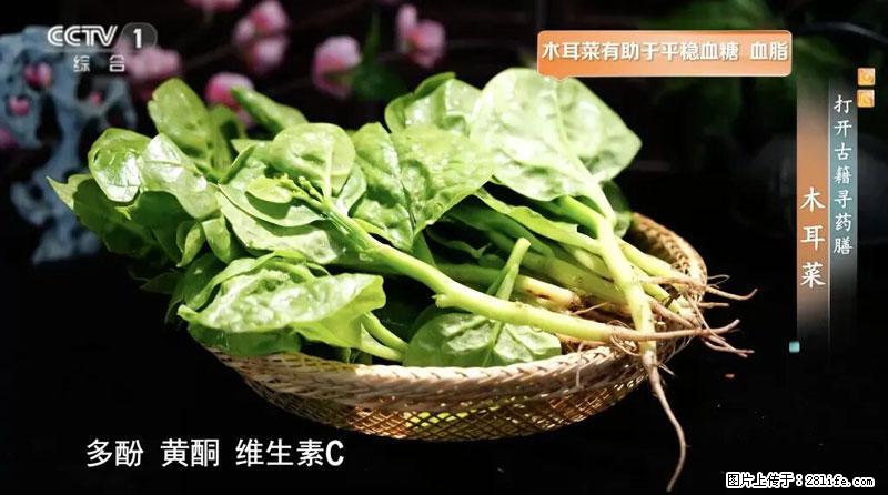 比牛奶补钙还厉害！凉血解毒、稳血糖...这菜冬天必吃，很多人却当草 - 巴音郭楞生活资讯 - 巴音郭楞28生活网 bygl.28life.net