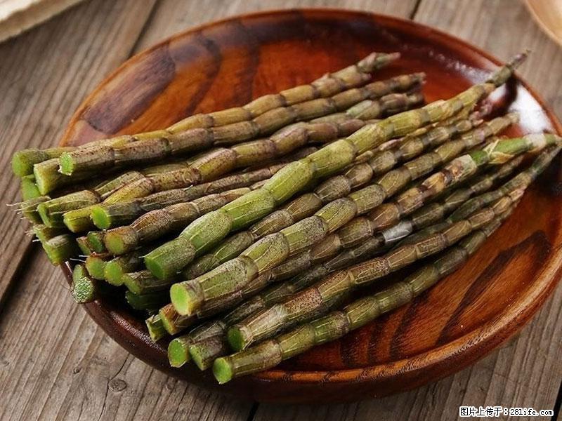 铁皮石斛的作用与功能主治 - 巴音郭楞生活资讯 - 巴音郭楞28生活网 bygl.28life.net