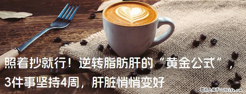 照着抄就行！逆转脂肪肝的“黄金公式”，3件事坚持4周，肝脏悄悄变好 - 巴音郭楞生活资讯 - 巴音郭楞28生活网 bygl.28life.net